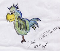 a drawing of a bird