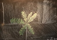 a drawing of a green leaf on a blackboard